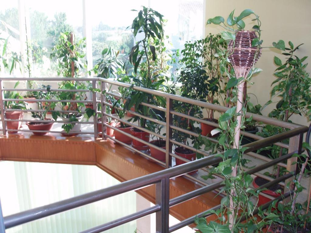 Motel Lav Čapljina Εξωτερικό φωτογραφία